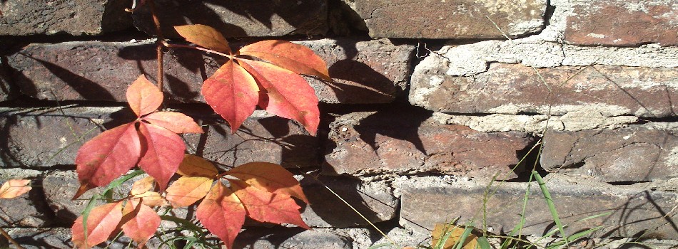 Autumn.jpg