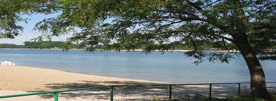 Paradise.jpg